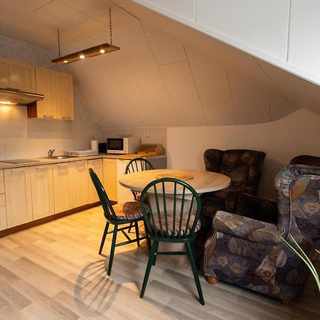 Apartment Vila Bozena - タトランスカ・ ロムニツァ エクステリア 写真